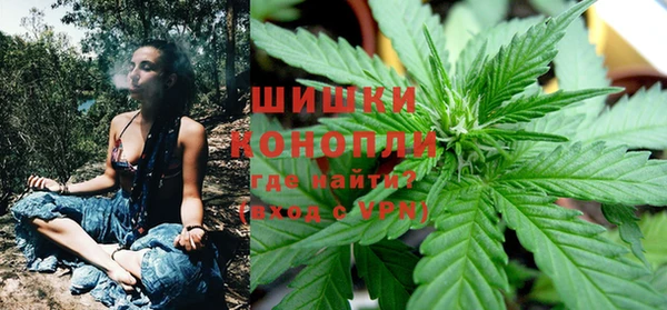 мяу мяу мука Горно-Алтайск