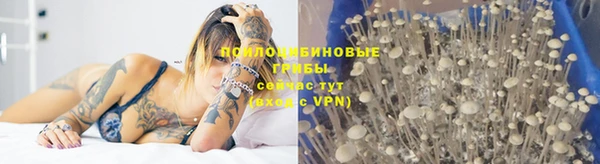 apvp Горнозаводск