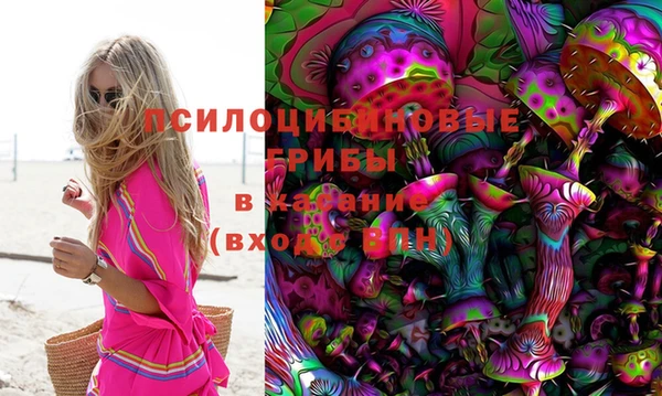 мяу мяу мука Горно-Алтайск